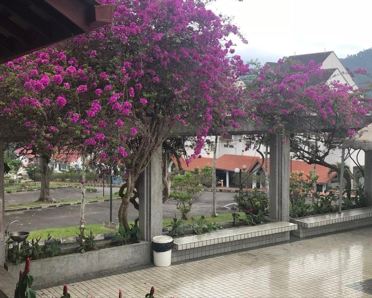 Thatniceplace In Selesa Hillhome, Bukit Tinggi, Bentong, Genting Kültér fotó